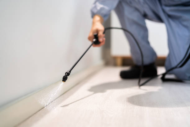 Licensed Termite Control service in Humboldt, KS - Show Me Pest Control